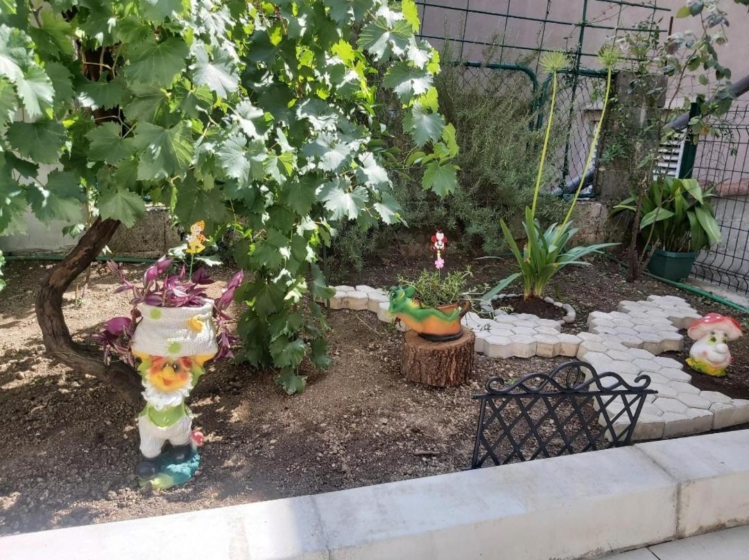 Apartment Marina Kotor Zewnętrze zdjęcie